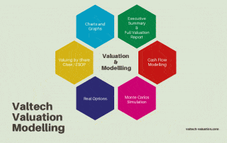 Valuing Private Equity Investments 7 PE VC Valuation3