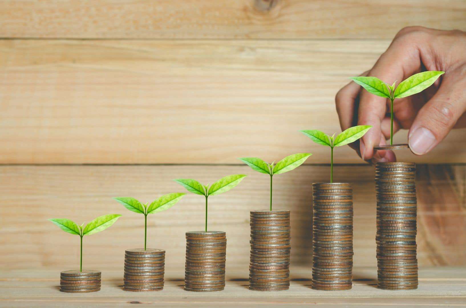 ESG and Business Valuation 5 esg valuation