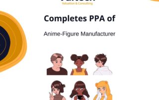 Valtech Valuation Completes Purchase Price Allocation of Anime-Figure Manufacturer 10 Valtech Valuation Completes Purchase Price Allocation of Anime-Figure Manufacturer