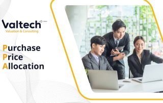 Ensuring Accurate Asset Valuation in Business Acquisitions with Valtech's PPA Service 12 PPA Service