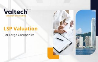 Valtech's Long Service Payment (LSP) Valuation Services for Large Companies 17 LSP large companies
