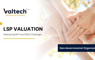 Valtech Completes Comprehensive LSP Valuation for NGO Client 19 NGO LSP Valuation