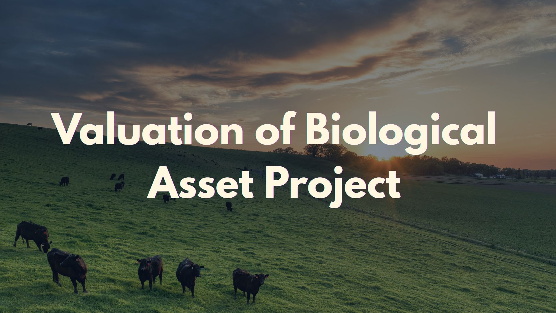 Valtech Completed a Project on Valuation of Biological Assets 2 Biological Asset